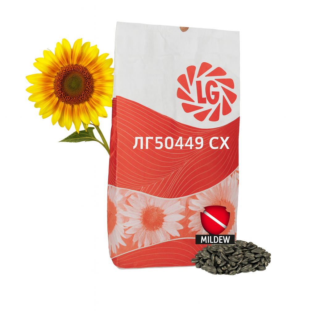 Соняшник під Експрес (ExpressSun®) – сульфогібриди