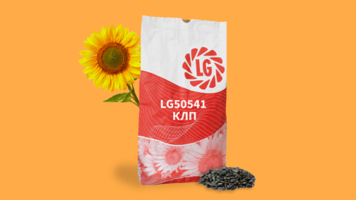 ЛГ 50541 КЛП Гібрид соняшнику
