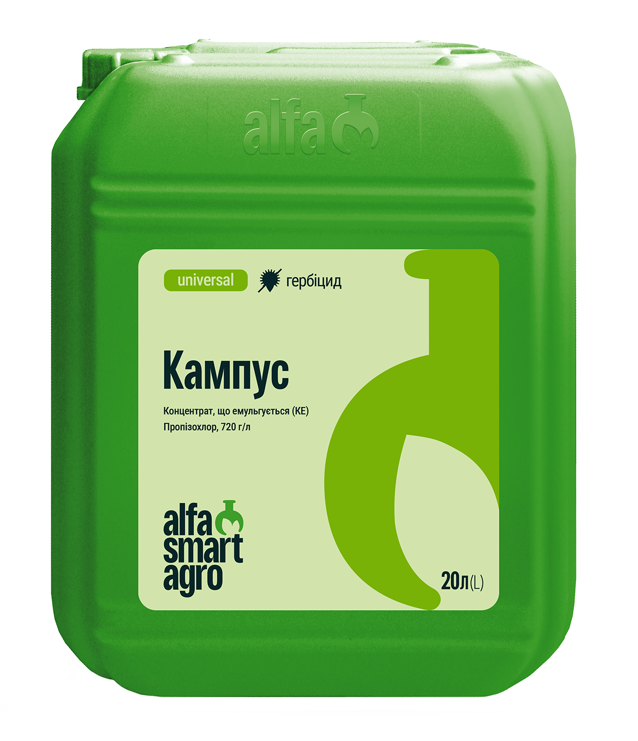 Кампус