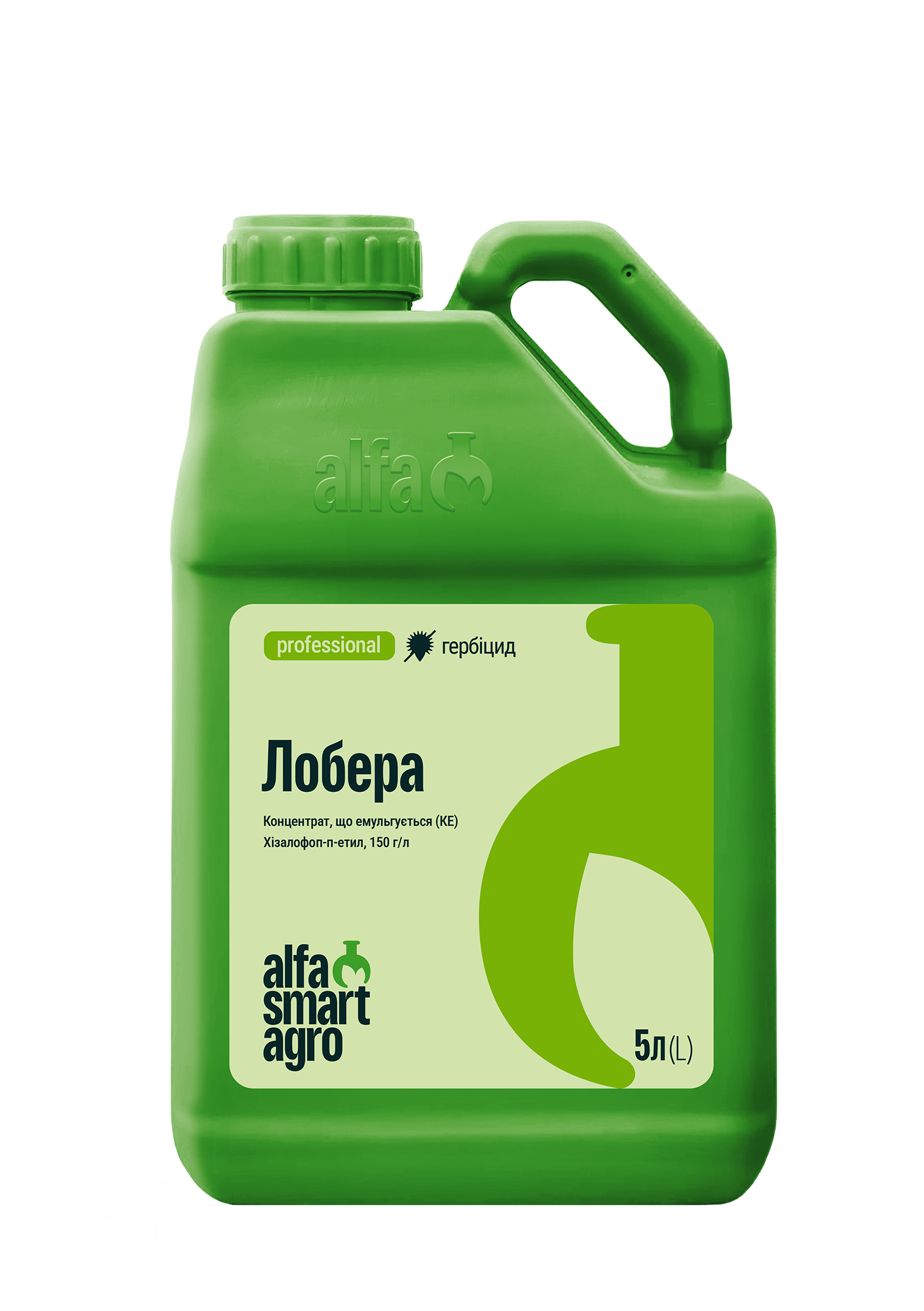 Лобера