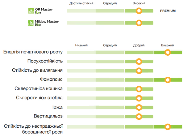 Соняшник Lidea ES AGORA