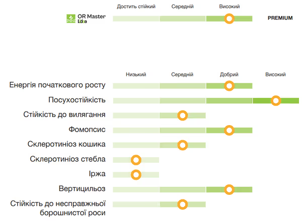 Соняшник Lidea ES GENERALIS CL