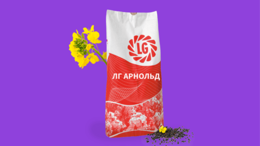 Ріпак Арнольд