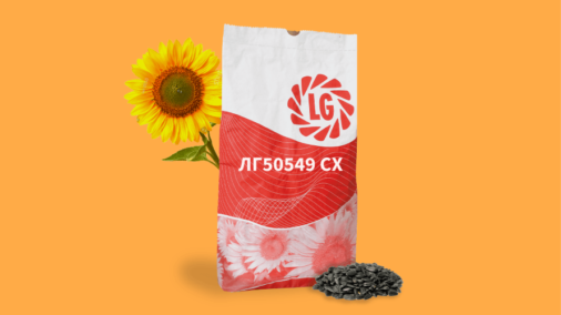 ЛГ 50549 CХ гібрид соняшнику