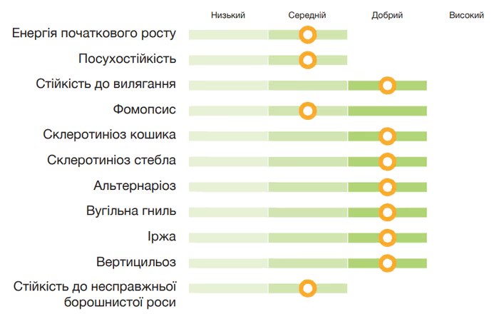 Соняшник Lidea ES ROSALIA